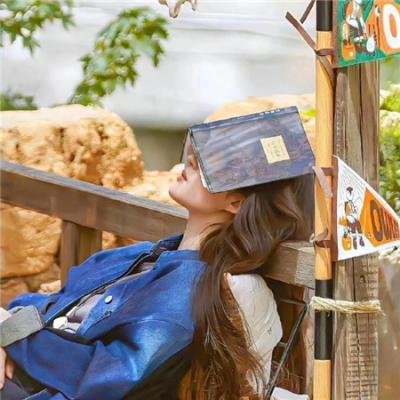 降龙神掌苏乞儿